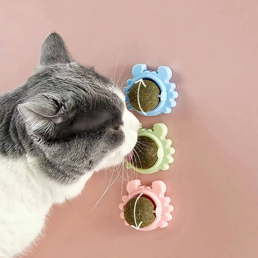 Lyonara Catnip Wall Toys Balls for Teeth Cleaning and Biting Edible Licking Chew Toy Rotatable Indoor Cat Toy { pack of 4 }